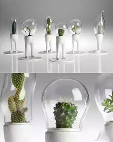 居家巧思 解锁家居用品的N种创意玩法